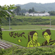 Illustration for article titled Another year of magnificent illustrations made with blossoming rice